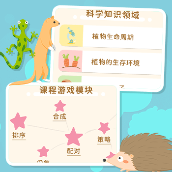 系统化的学习报告